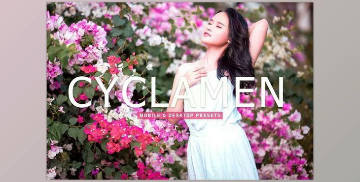 Cyclamen Pro Lightroom Presets CreativeMarket - 6923256