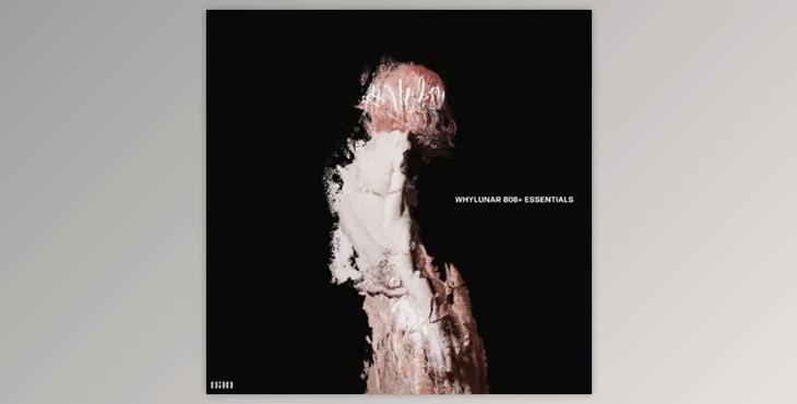 Whylunar 808+ essentials (WAV)