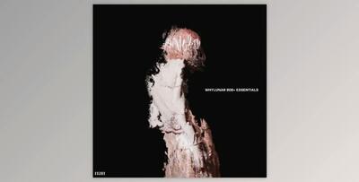 Whylunar 808+ essentials (WAV)