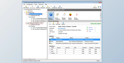 WCFStorm Host v2.0 for Win x86 & x64 + CRACK