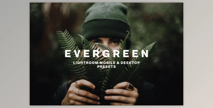EVERGREEN LIGHTROOM PRESETS