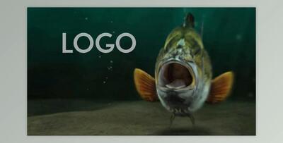 Fishing Opener (Videohive 33600676) - AE Project