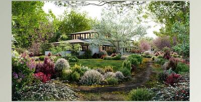 Globe Plants – Bundle 27 – North American Home & Garden Plants