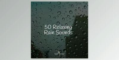 Pro Sound Effects Library 50 Soothing Winter Rain Sounds