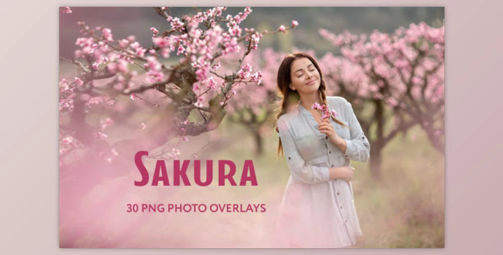 30 Sakura Photo Overlays