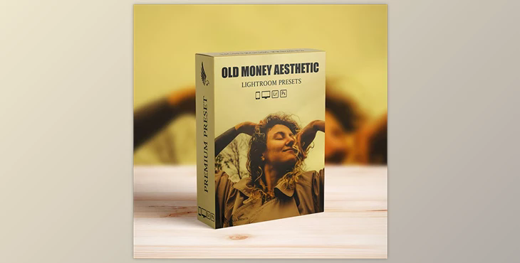 Old Money Aesthetic Lightroom Presets - 51681645
