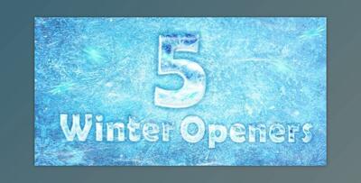 5 Winter/Frost Openers (Videohive 13837005) - AE Project