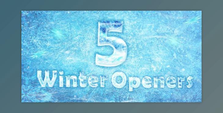 5 Winter/Frost Openers (Videohive 13837005) - AE Project