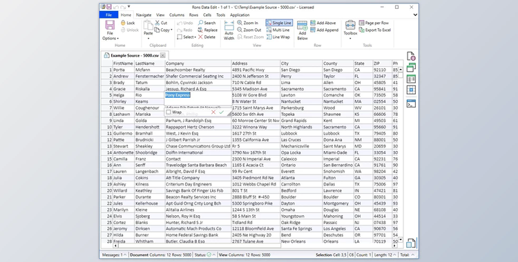 Rons Data Gear v2024.1.2.1405 + Portable Edition + Keygen
