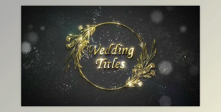 Floral Wedding Titles (Videohive 44153486) - AE Project