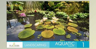Unreal Engine - Landscaping Aquatic Plants (Engine Version 5.1, 5.3)