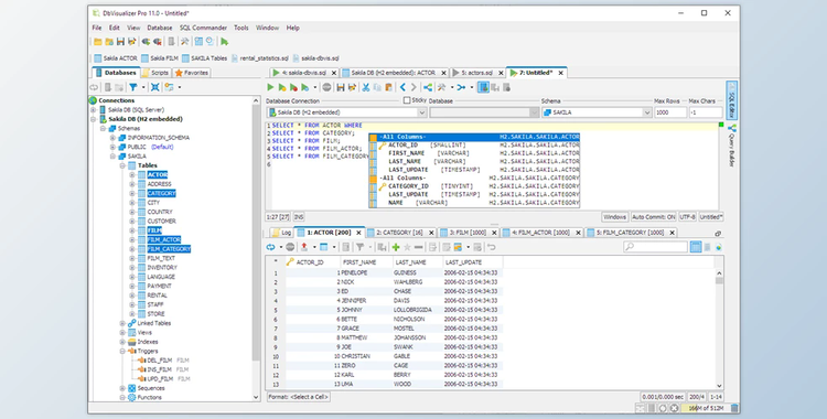 DbVisualizer Pro v24.3.3 (17 Jan 2025) for Win & Linux & macOS + Keygen