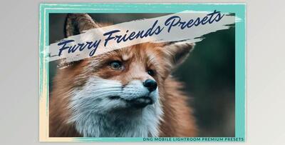 FURRY FRIENDS MOBILE PRESET By Fltrr Lightroom Presets