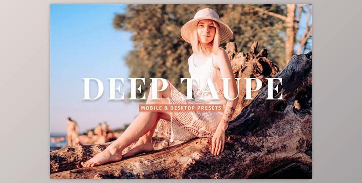 Deep Taupe Pro Lightroom Presets CreativeMarket - 10243236
