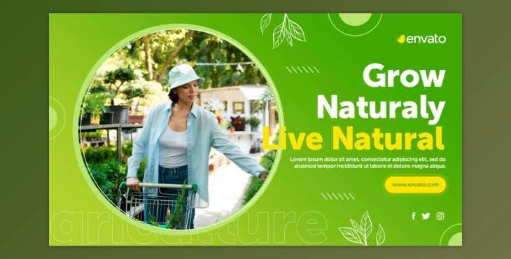 Agriculture Promo (Videohive 33738846) - AE Project