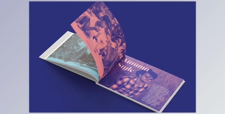 50 Duotone Gradient Maps