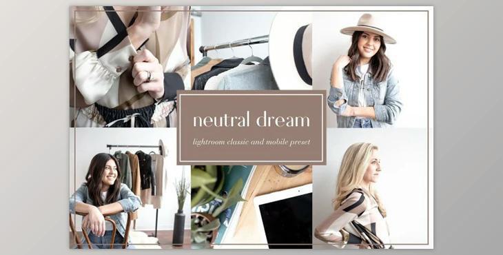 Neutral dream lightroom preset (DNG, JPG)