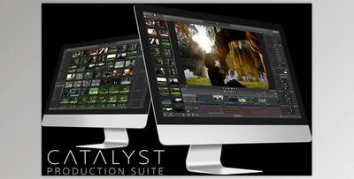 Sony Catalyst Browse / Prepare Suite v2025.2 (WIN)