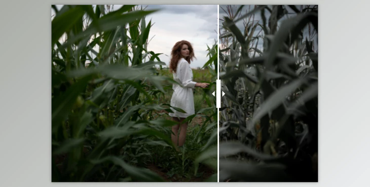 Aleksandr Kurennoi – Frozen Portrait Presets