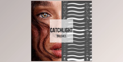 Tamara Williams – Catchlight Brushes