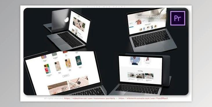 Silver Web Promo (VideoHive 37138855)