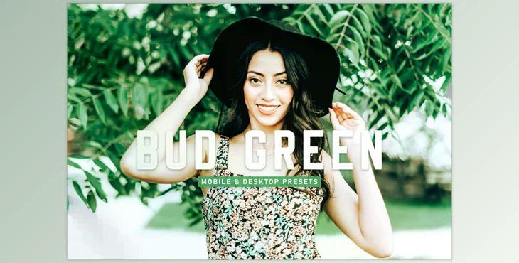 Bud Green Pro Lightroom Presets CreativeMarket - 6923040