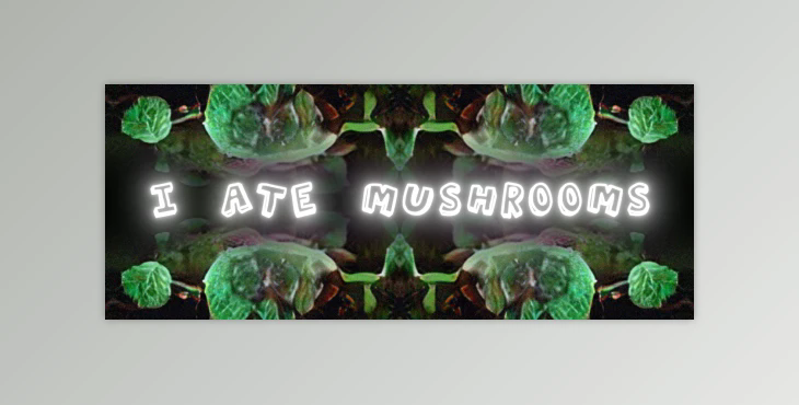 Aescriprs I Ate Mushrooms v1.6.24
