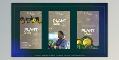 Garden Instagram Story (Videohive 51870743) - AE Project