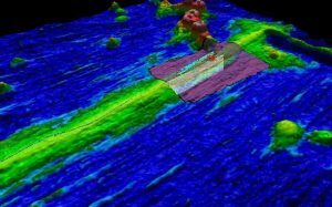 QPS Fledermaus 7.8.4 x64