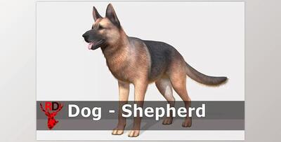 Unity asset - Dog – Shepherd v3.0