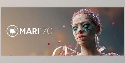 The Foundry Mari v7.1v1 (Win)